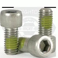 5/16" X 7/8" Socket Head Cap Screws, Nylon Patch, Stainless Steel 18-8 (Inch)