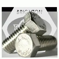 3/4-10 X 2 1/2 HEX BOLT S/S