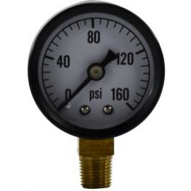 1 1/2 0-30 Pounds per Square Inch 1/8 Lower Mount
